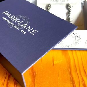 Park Lane hematite earrings NWT Sparkle Box